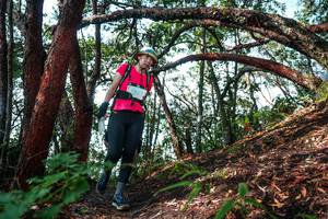 BIB: 
                            <button type="button" onclick="openModal(26345933)" class="btn btn-primary btn-sm float-right btn-popup" data-toggle="modal" data-target=".modal-high-quality">
                        <i class="fas fa-shopping-cart"></i> Add to Cart
                    </button>
                                            <button type="button" onclick="isThisMe(26345933, true)" class="btn btn-success btn-sm float-right btn-popup btn-isme hidden" data-toggle="tooltip" data-placement="bottom" title="นี่คือรูปของคุณใช่ไหม คลิกที่นี่เพื่อเอาเข้าอัลบั้ม">
                        <i class="fas fa-plus"></i> Add to album
                    </button>
                    <button type="button" onclick="isThisMe(26345933, false)" class="btn btn-warning btn-sm float-right btn-popup btn-isnotme hidden">
                        <i class="fas fa-ban"></i> Remove from album
                    </button>